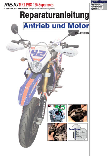 Reparaturanleitung ris rieju - reparaturanleitung,