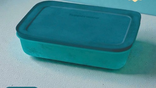 Tupperware gefrier behälter - tupperware, gefrier-behälter