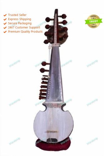Spezieller sarod ali akbar - sarod, im