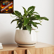 Keramikblumentopf 25cm mit