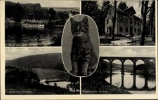 Ak Fuldatal Hessen, Wald- und Strandgasthaus Roter Kater,... - 11402367