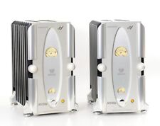 2x E.A.R Yoshino Paravicini M100A Monoblock-Endverstärker Sammlerstück