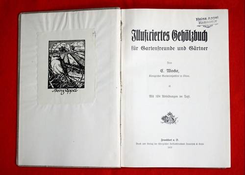 Wocke illustriertes - wocke.,