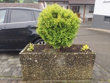 Blumenkübel Waschbeton 140 cm lang, 50 cm breit, 60 cm hoch