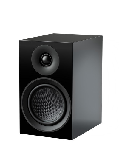 Pro ject speaker - box, carbon