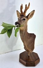 Aus Jäger Nachlass -