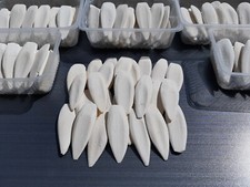 500 sepiaschalen 50 - 500,