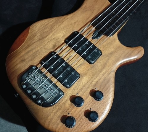 Wal bass fretless string - wal,