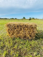 Strohballen Stroh ca. 15 kg