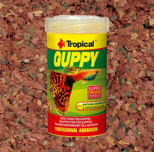 Tropical guppy 250ml - guppy, für
