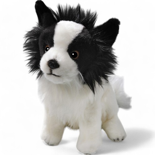 Carl dick chihuahua - carl,