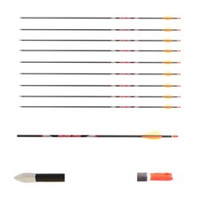 10 Carbonpfeile Avalon Tyro