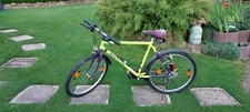 Herren mountainbike wheeler - herren, mountainbike*wheeler