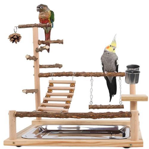 Wellensittich spielplatz vogel - spielplatz,