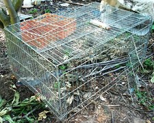 Metallkäfig Kleintierkäfig Hasenkäfig Kaninchenkäfig Küken Auslauf Freilauf