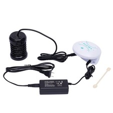 110-220V Ionic Detox