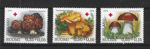 Pilze mushrooms funghi - funghi,
