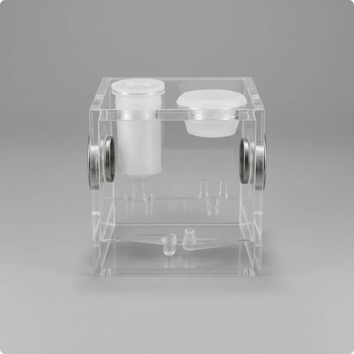 Jumping arachnid terrarium - arachnid,