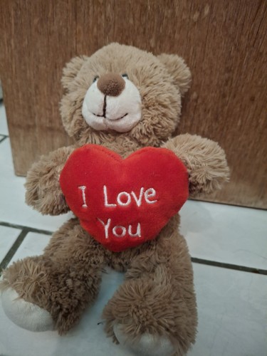 Teddybär kuschelbär - teddybär,