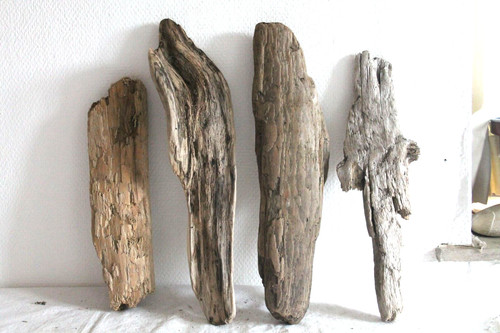 Schwemmholz treibholz 4 - schwemmholz,