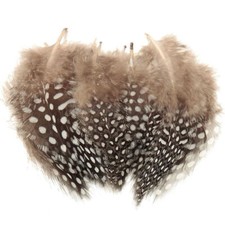 50x Vogelfedern Perlhuhn