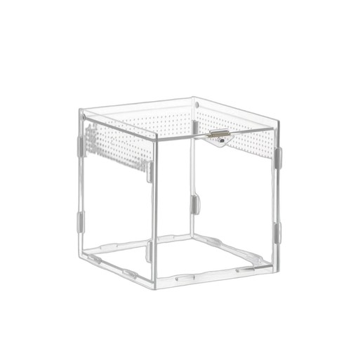 Reptilien aufzuchtbox klar - reptilien-aufzuchtbox,