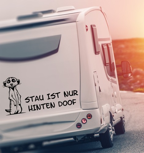Erdmännchen stau ist - erdmännchen,