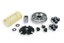 Variomatik Malossi Multivar