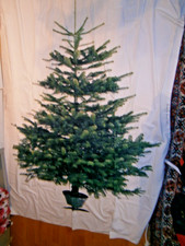 Stoff Tannenbaum Ikea Vorhang Tischdecke Weihnachten