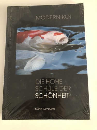 Modern koi die hohe - modern,