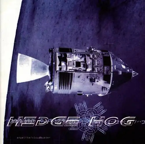 Hedge hog - hedge,
