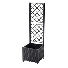 Spalier mit Pflanzkasten