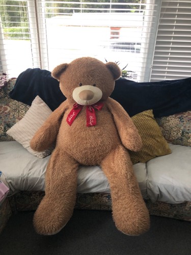 Riesiger hamleys teddybär - riesiger, 4