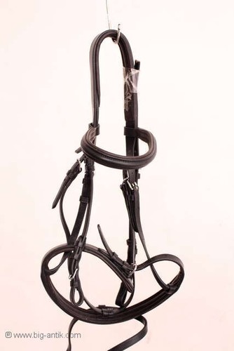 Reitsport pferdetrense aus - reitsport, /