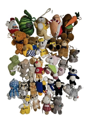 29x schlüsselanhänger set - 29x,