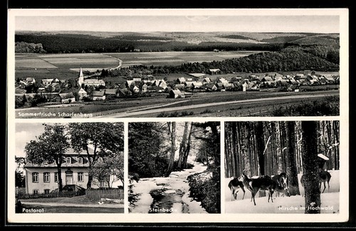 Ansichtskarte scharfenberg - ansichtskarte,