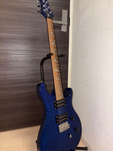 Paul reed smith prs - reed, custom