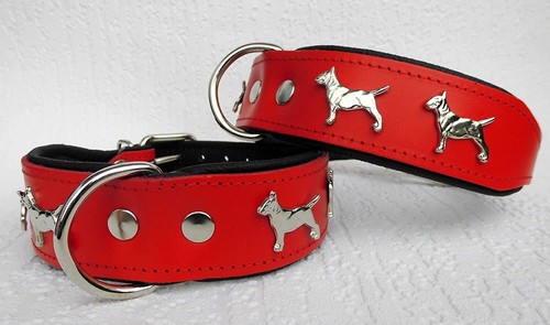 Bullterrier hundehalsband - hundehalsband,