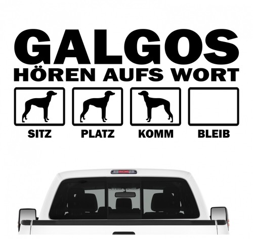 Galgo espanol hört aufs wort - hört,