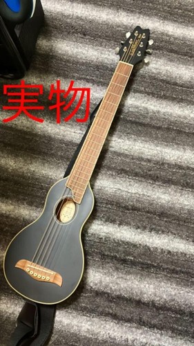 Elektrische akustikgitarre - elektrische,