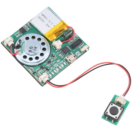 USB-Aufnahme-Musikmodul