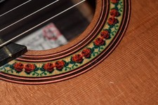 Flamencogitarre Antonio
