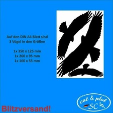 3er set greifvögel - set,