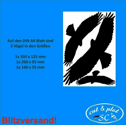 3er set greifvögel - 3er,