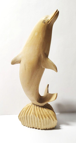 Schöner delphin auf felsen - auf,