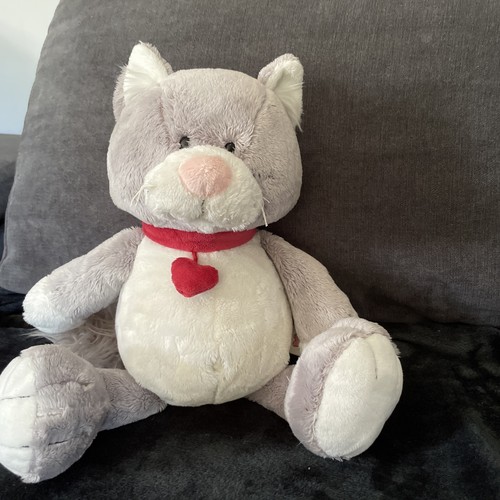 Nici love cat katze - nici, mit