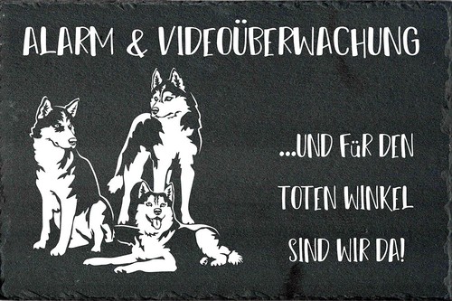 Siberian husky hundewarnschild - siberian,