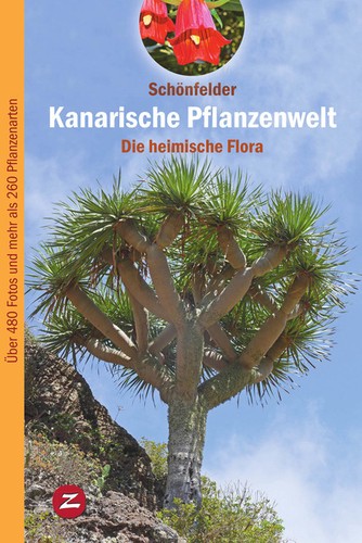 Kanarische pflanzenwelt peter - pflanzenwelt,
