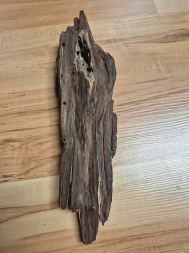 Sehr selten korios - selten, skulptur