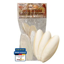 Sepiaschale Kalziumquelle 6-10